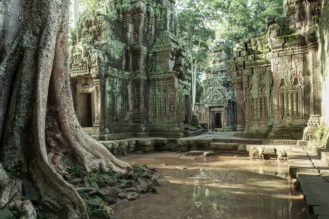 Путешествие по Камбодже: Та Прум