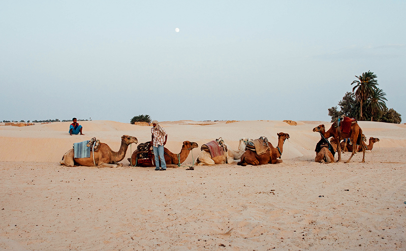 Тунис. Поездка в Сахару.